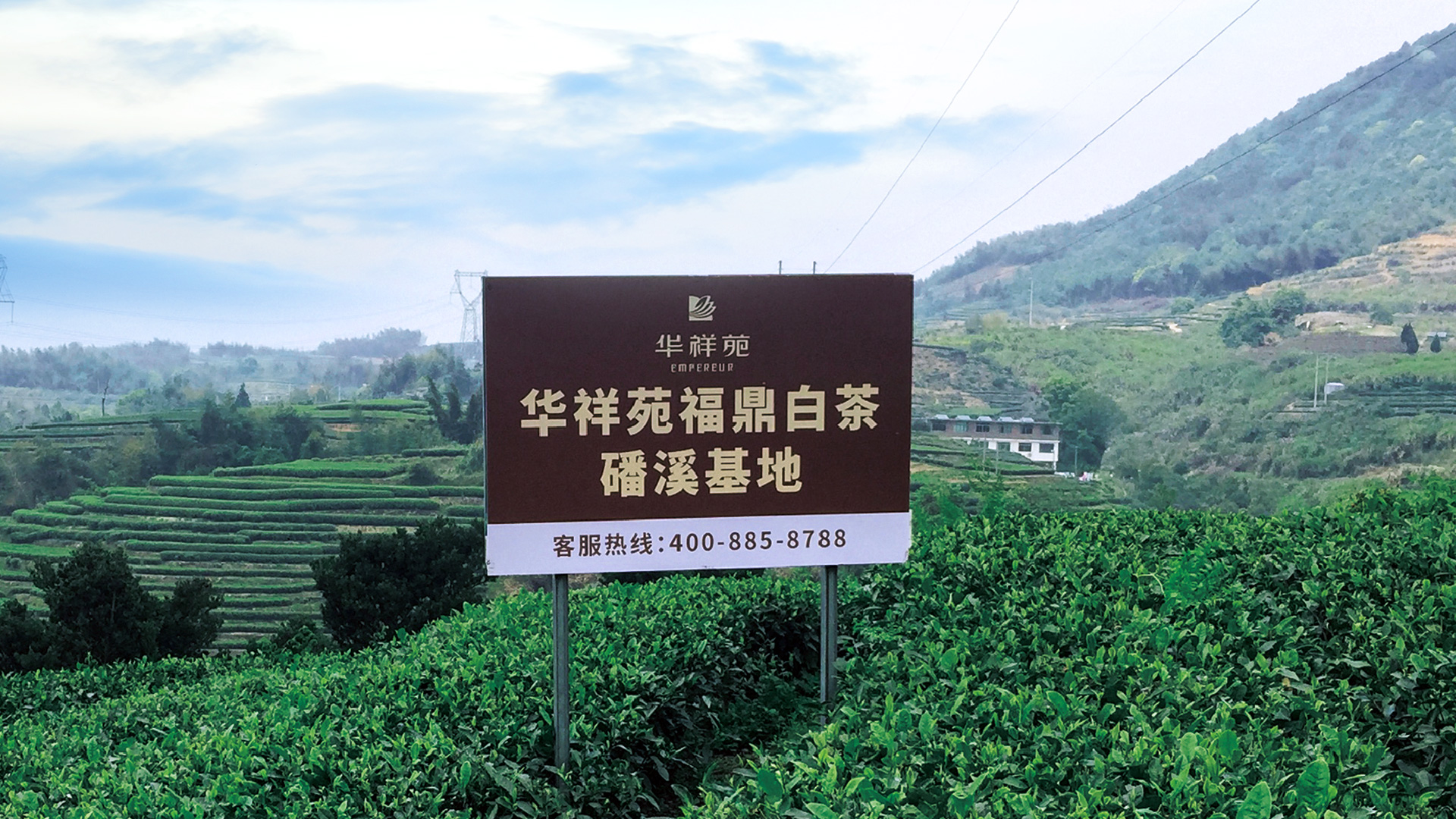 2020Mackwoods茶厂-旅游攻略-门票-地址-问答-游记点评，霍顿平原旅游旅游景点推荐-去哪儿攻略