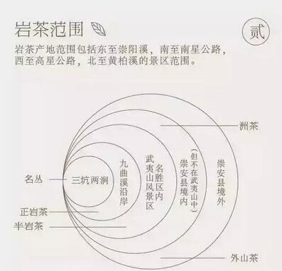 武夷岩茶