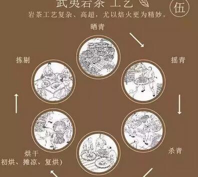 武夷岩茶