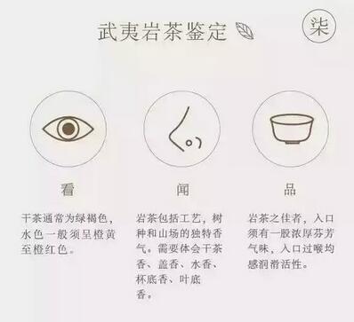 武夷岩茶