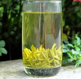 伤胃茶