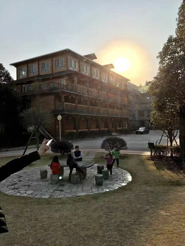 茶庄园日落