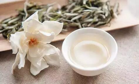 白茶