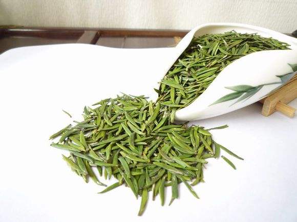 新鲜茶叶