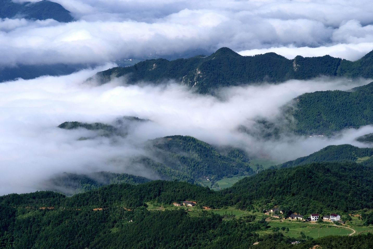 为什么说高山云雾出好茶