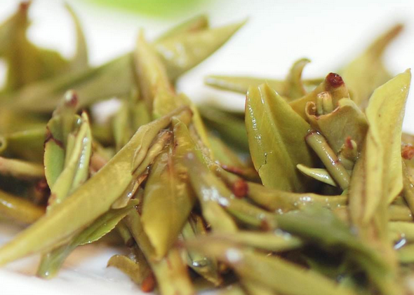 黄茶的加工工艺
