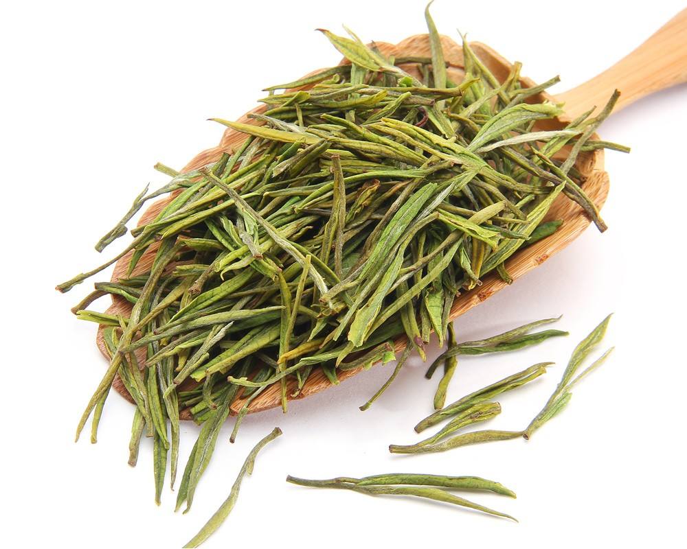 春茶不只有绿茶
