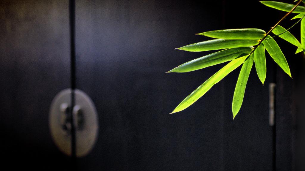 一些关于茶叶的古诗