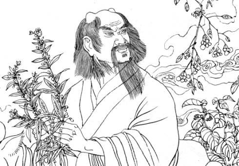 茶叶的传说