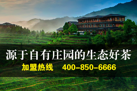 茶叶加盟