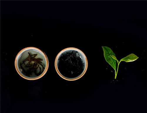 杜仲茶的功效