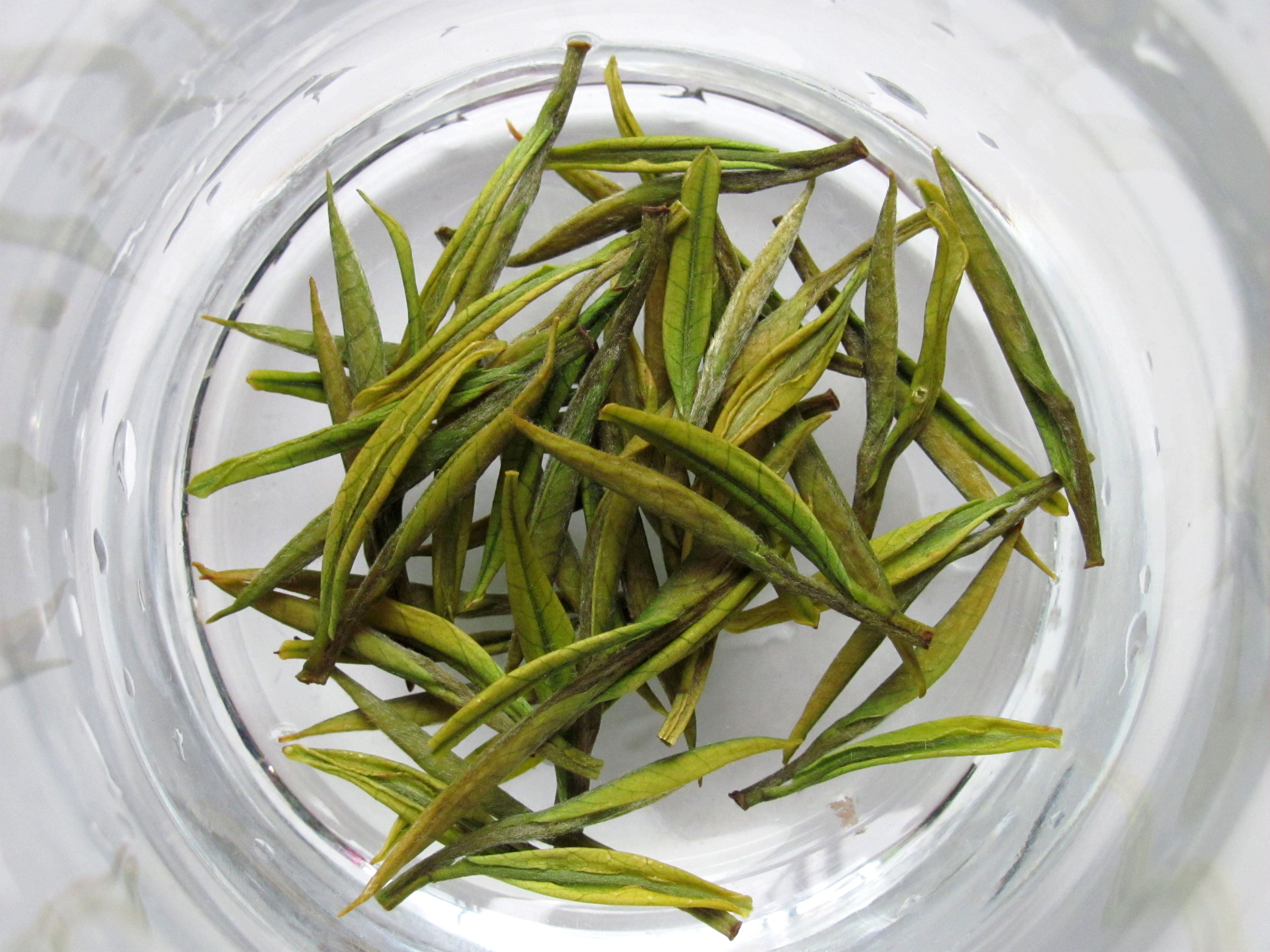 周打铁茶的保健作用