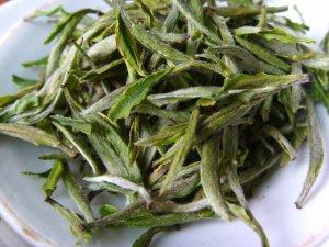 什么是仙人掌茶