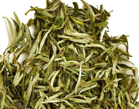 什么是松溪绿茶