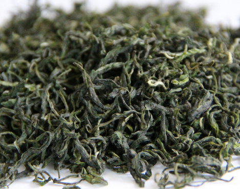 日照绿茶的制作工艺