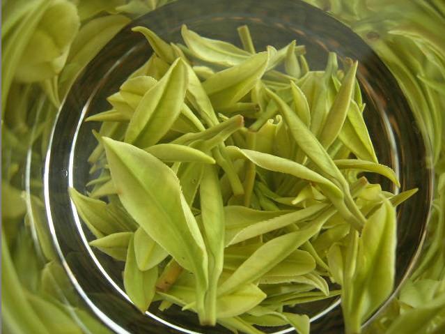 什么是天目湖白茶？