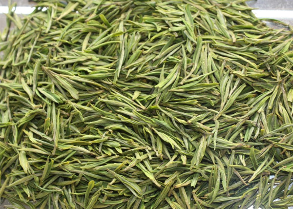 天目湖白茶的功效
