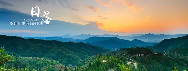 带你玩转茶庄园