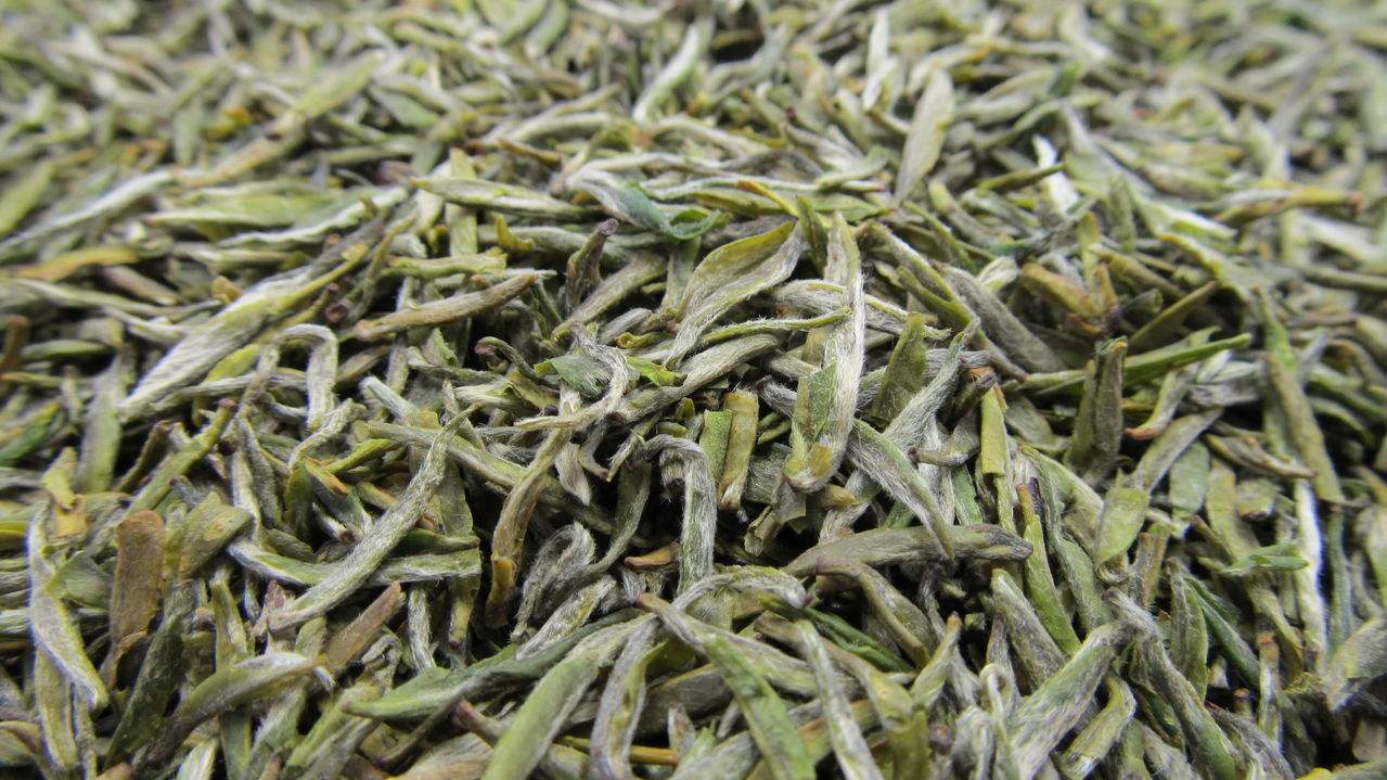 有茶豪的茶才是好茶吗？