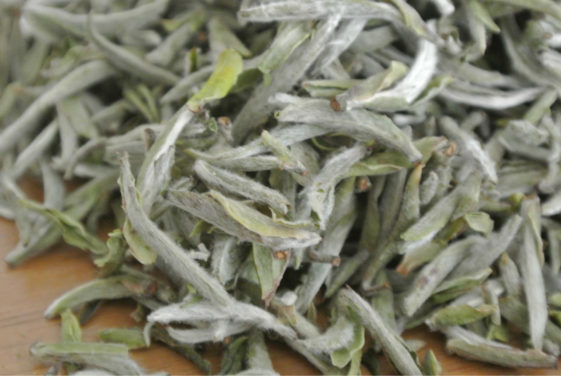 为什么有的茶叶有茸毛呢？