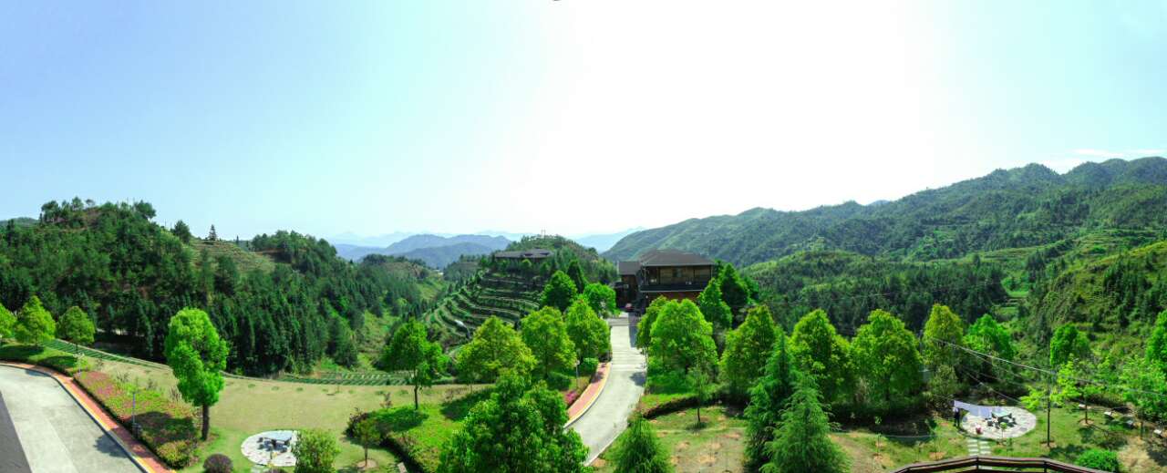 华祥苑的安溪三大茶庄园