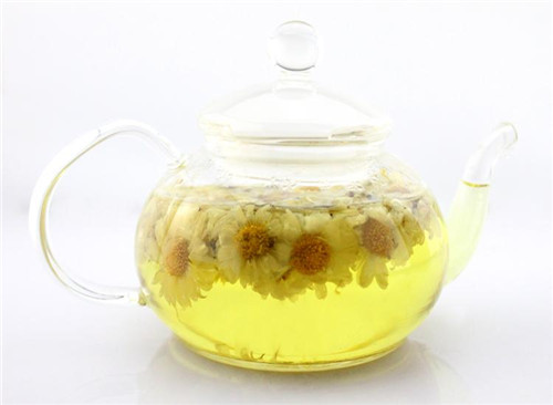 喝菊花茶的禁忌