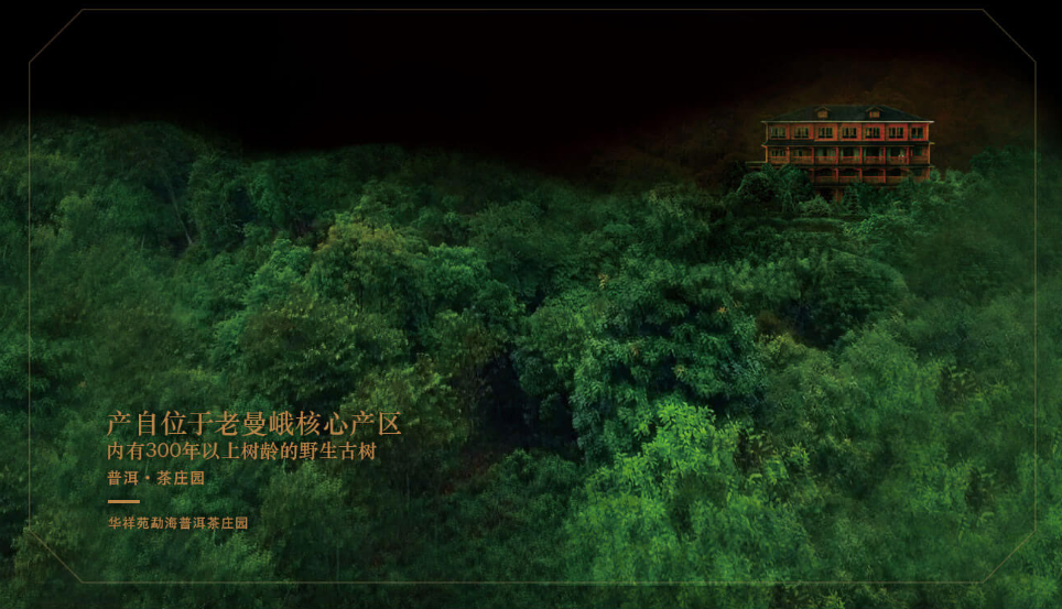 普洱茶庄园
