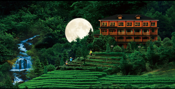 华祥苑茶庄园
