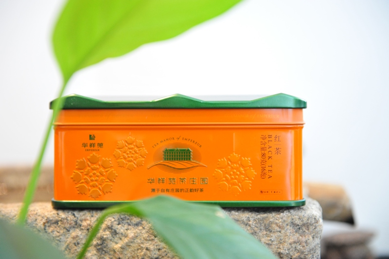 绿茶冲泡前的形状