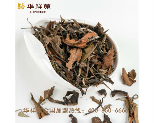 如何选购茶叶