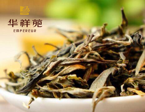 普洱茶生茶