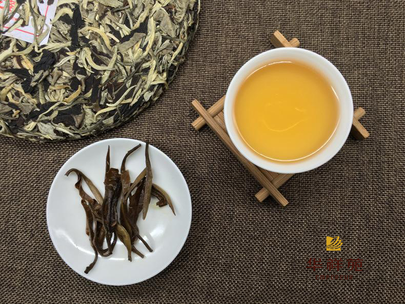 普洱茶生茶