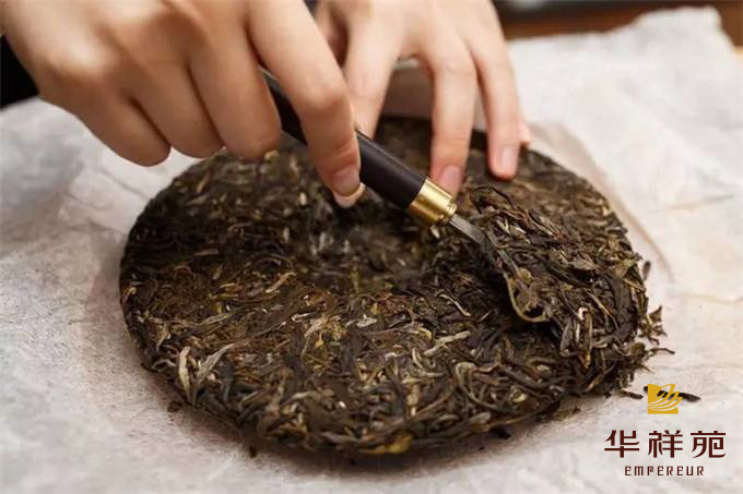 普洱茶视频
