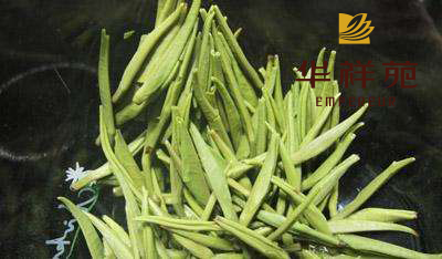 茶叶的泡法