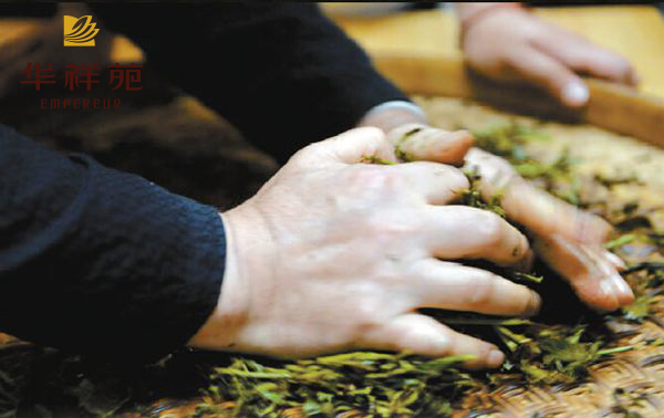 龙井茶属于绿茶吗