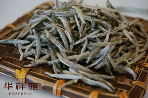 白茶适合什么季节喝