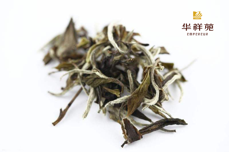 茶城在线