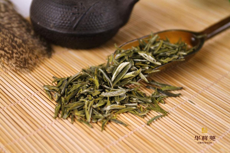 信阳茶文化