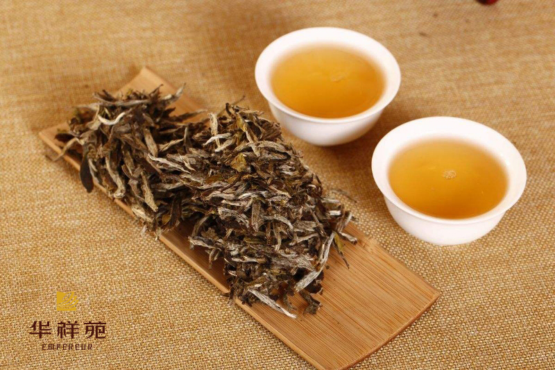 政和白茶