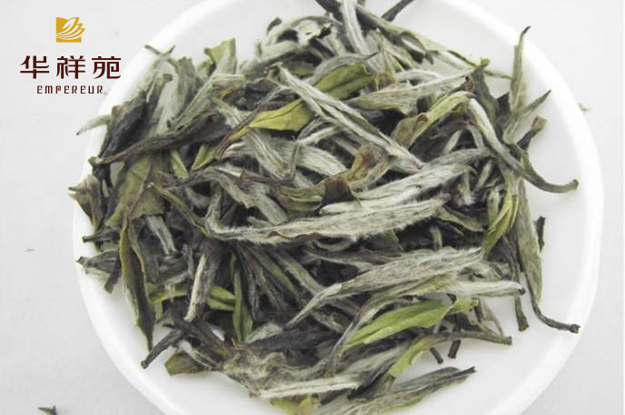 福鼎白茶