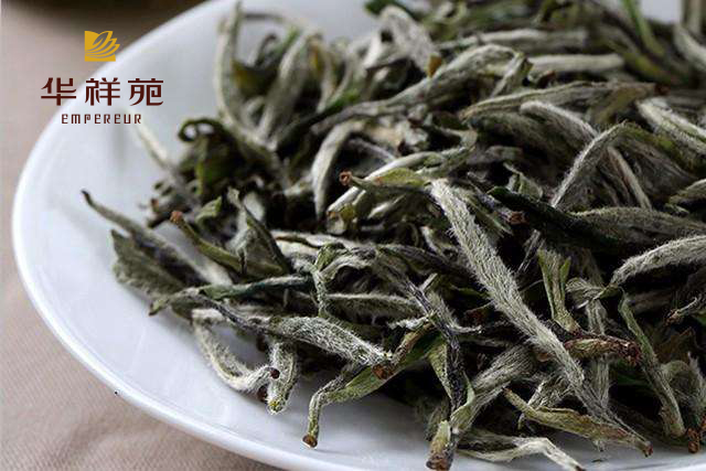 白茶有哪些