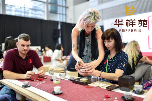 深圳茶博会