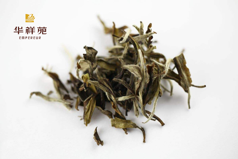 白茶的种类