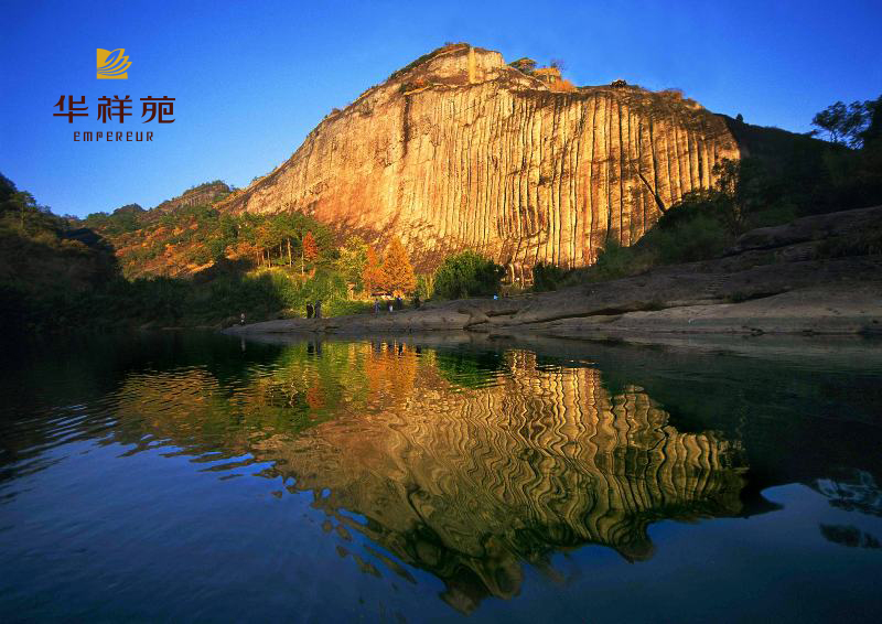 武夷山茶博会