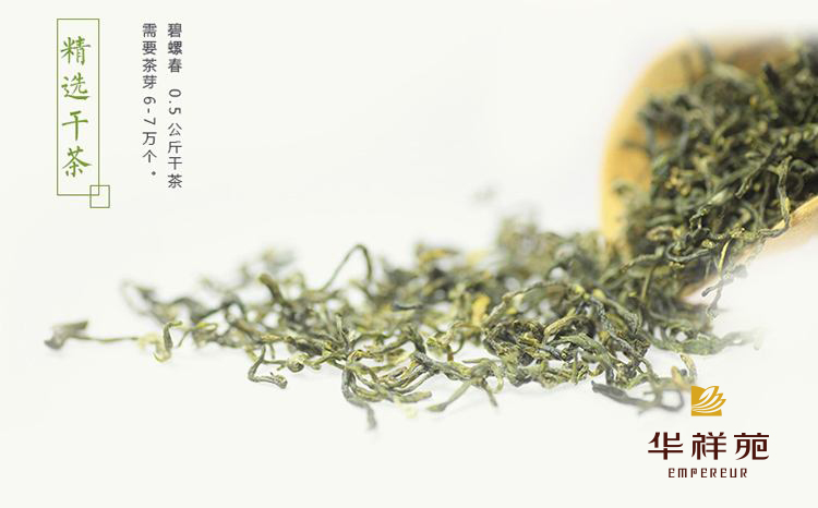碧螺春的功效与作用