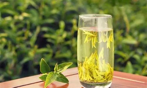 绿茶的冲泡时间.jpg