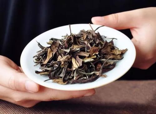 白茶散的好还是饼的好.jpg