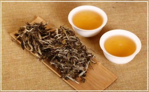 白茶的泡法.jpg