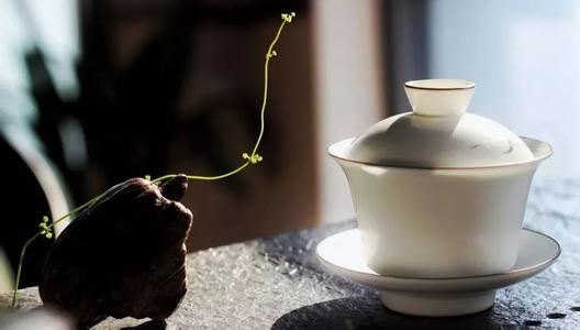 哪类茶最健康