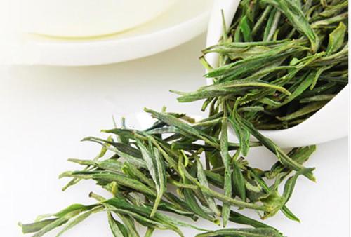 毛峰属于绿茶吗